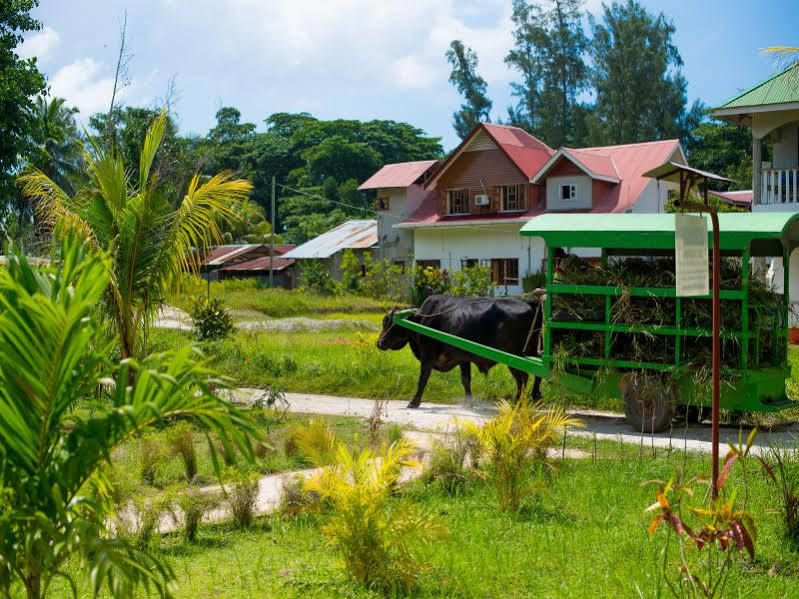 Zerof Self Catering Apartments Isola di Isola di La Digue Esterno foto